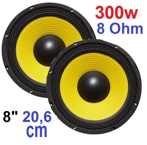 Coppia woofer altoparlante - coppia,